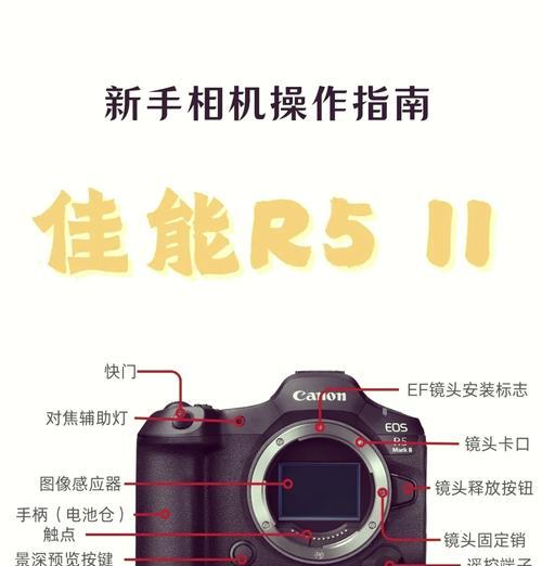 佳能r50相机输出格式如何设置？设置后有什么效果？