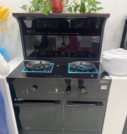 集成灶蒸箱门故障解决方案（集成灶蒸箱门无法关闭的原因及修复方法）