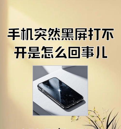 老显示器无法开机解决方法（如何修复无法开机的老显示器）