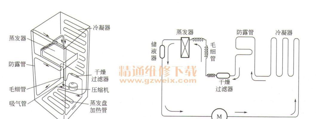 电冰箱的工作原理（揭秘电冰箱的工作原理）