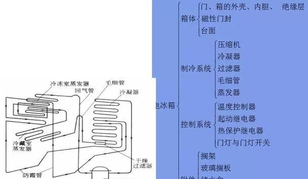 电冰箱的工作原理（揭秘电冰箱的工作原理）