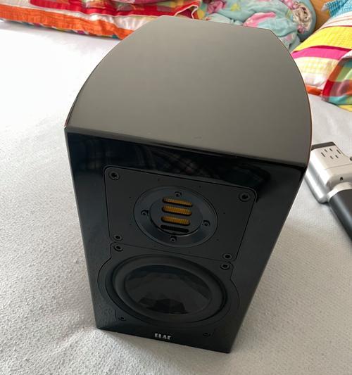 强磁性音箱有哪些品牌？它们的特点是什么？