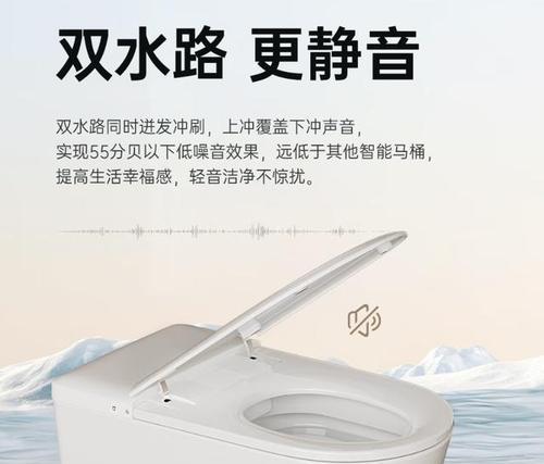 浪鲸马桶反臭的原因及解决方法（为什么浪鲸马桶能有效解决马桶异味问题）