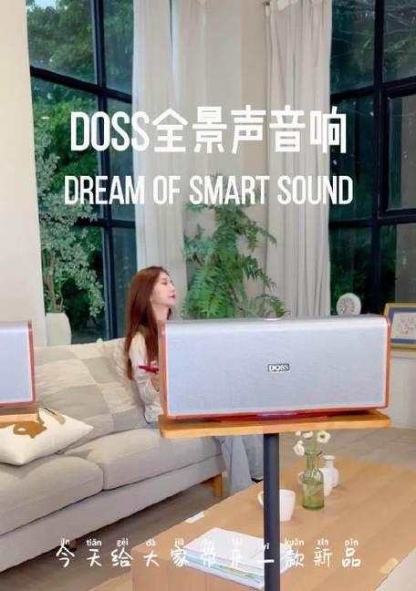 海灵新声音响的音质如何？