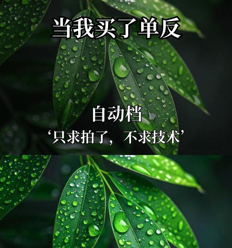 相机m档为什么很绿色？如何调整？