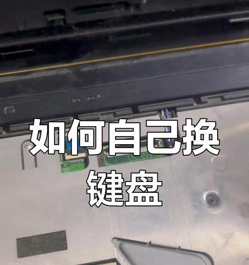 电脑机械键盘无法输入怎么办？故障排除步骤是什么？